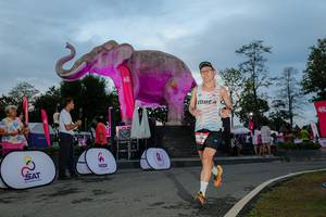 BIB: 
                            <button type="button" onclick="openModal(26529489)" class="btn btn-primary btn-sm float-right btn-popup" data-toggle="modal" data-target=".modal-high-quality">
                        <i class="fas fa-shopping-cart"></i> Add to Cart
                    </button>
                                            <button type="button" onclick="isThisMe(26529489, true)" class="btn btn-success btn-sm float-right btn-popup btn-isme hidden" data-toggle="tooltip" data-placement="bottom" title="นี่คือรูปของคุณใช่ไหม คลิกที่นี่เพื่อเอาเข้าอัลบั้ม">
                        <i class="fas fa-plus"></i> Add to album
                    </button>
                    <button type="button" onclick="isThisMe(26529489, false)" class="btn btn-warning btn-sm float-right btn-popup btn-isnotme hidden">
                        <i class="fas fa-ban"></i> Remove from album
                    </button>